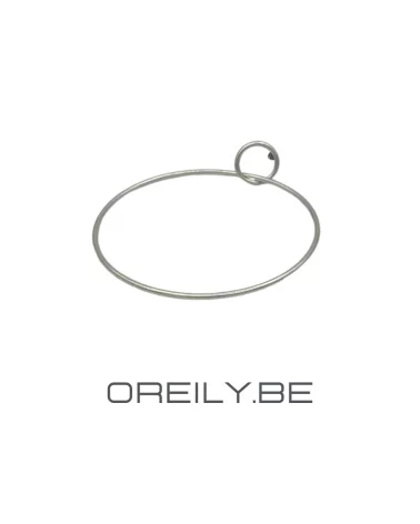 Oreily.be Loop Earrings