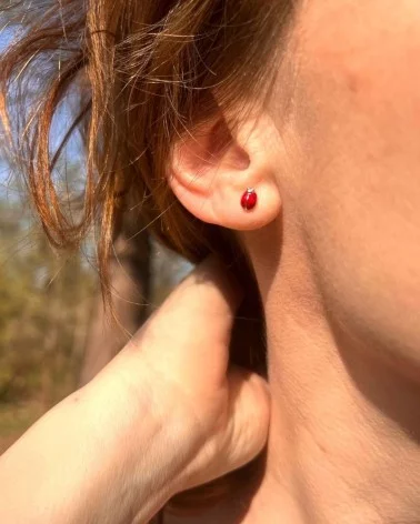 Oreily.be Amira Ladybug