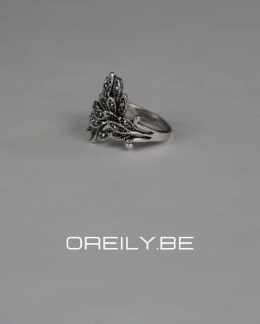 Oreily.be Amaris