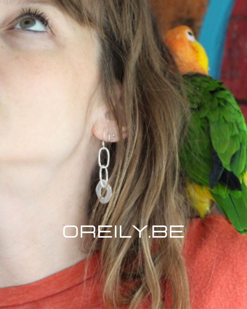 Oreily.be Linked Earrings